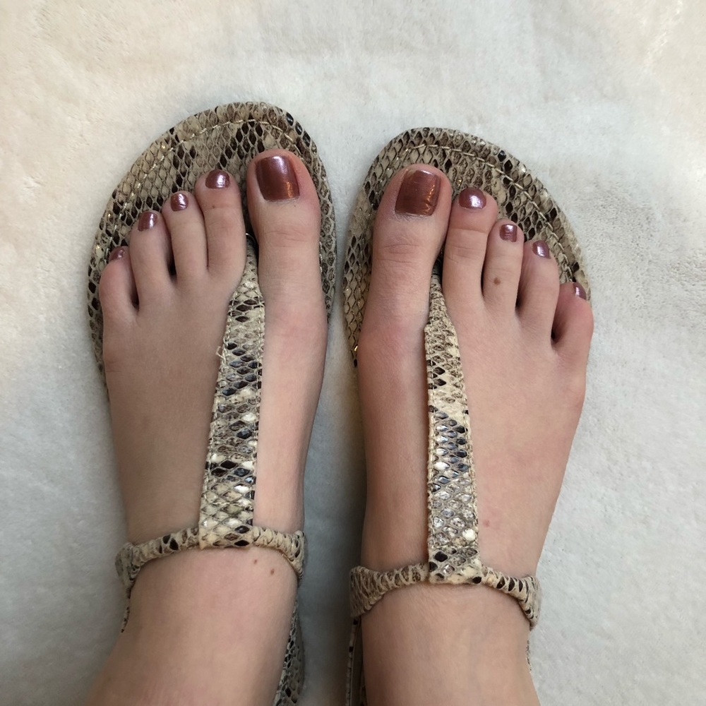 Snakeskin leather Seeri Steve Madden Sandals